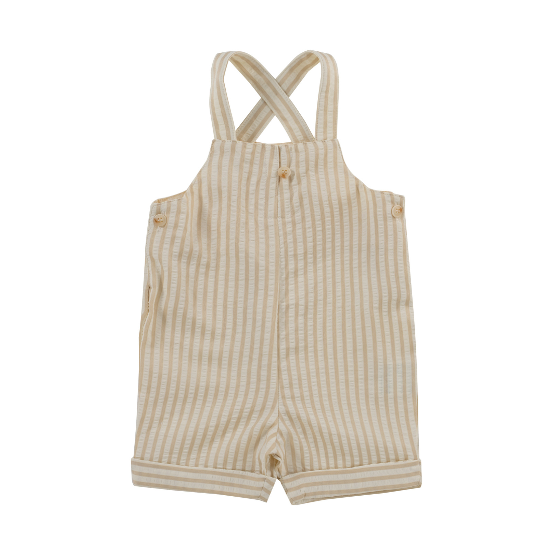 Stone Lenox Overalls