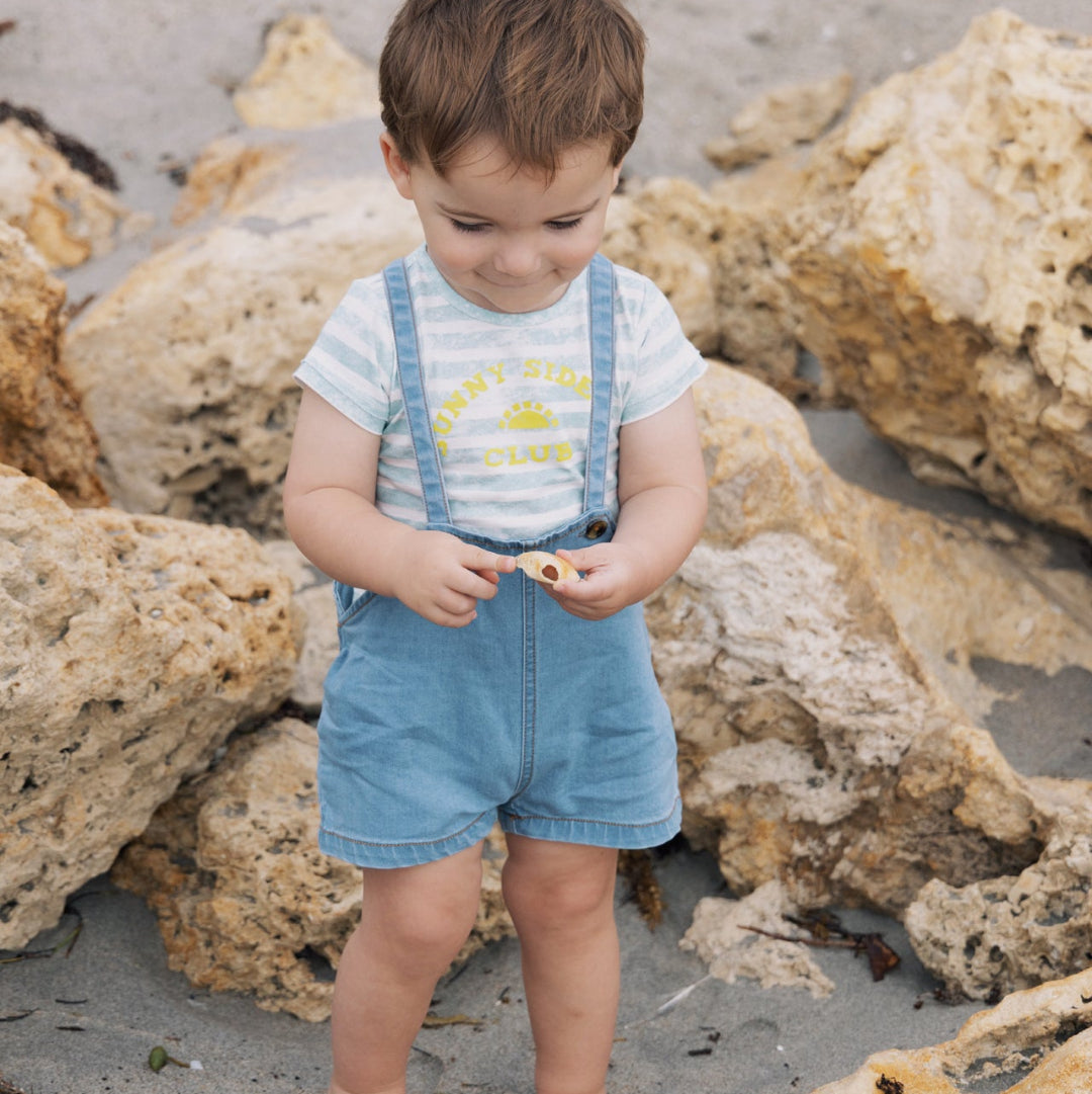 Soft Blue Striped Short Sleeve T-Shirt