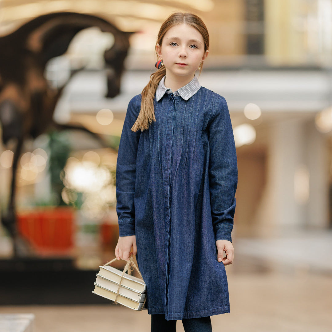 Denim Striped Collar Dress