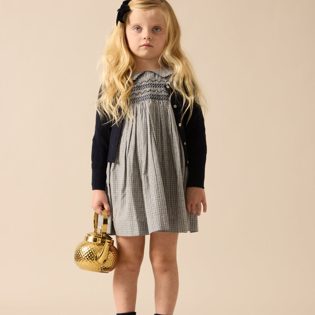 Dried Blue Plaid Edition Dress