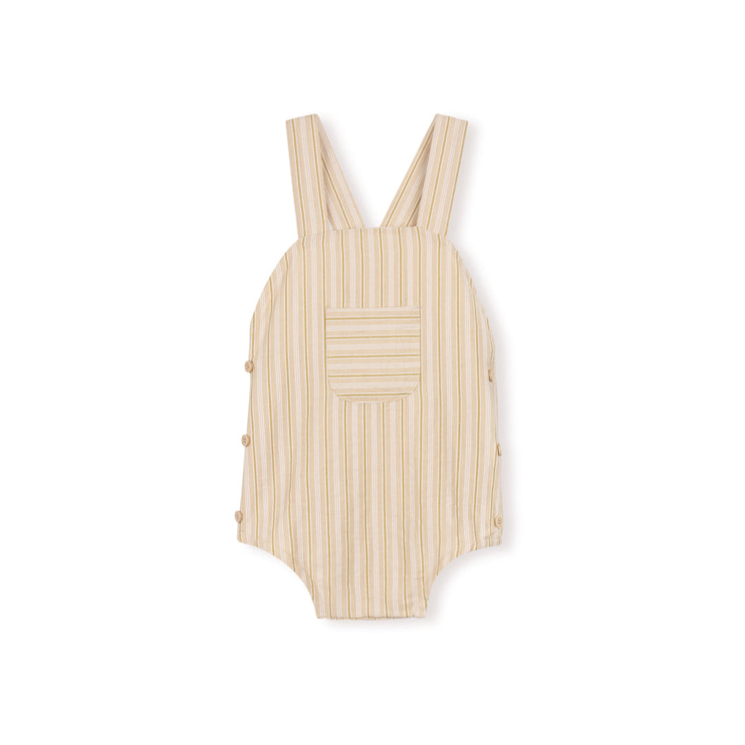 Stripe Multi Color Stems Romper