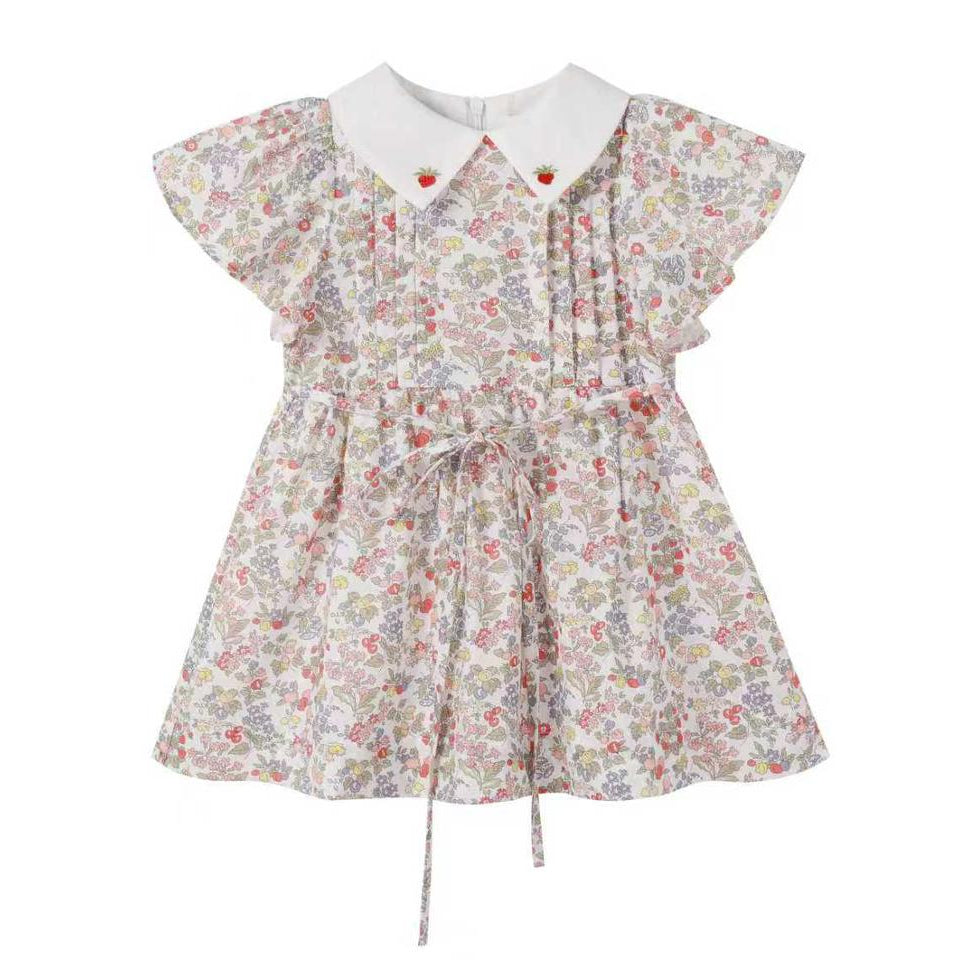 Strawberry Embroidered Dress