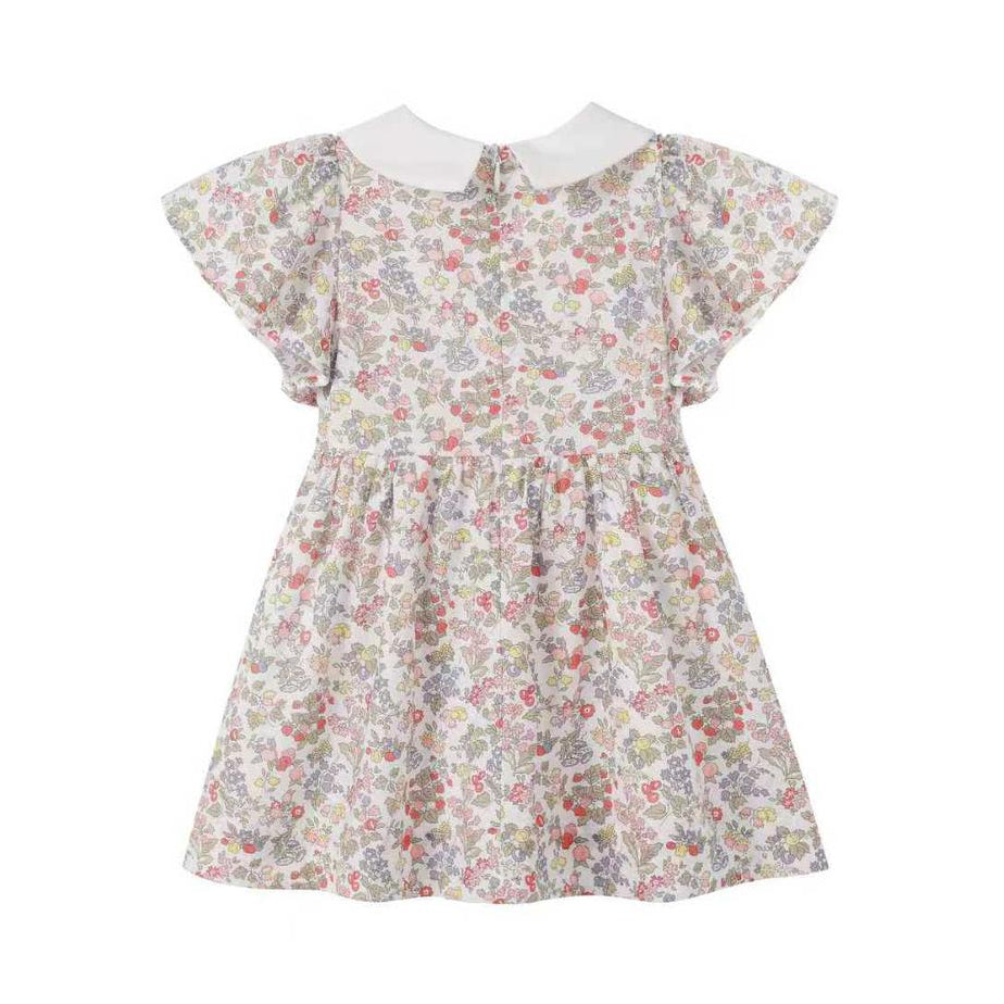 Strawberry Embroidered Dress