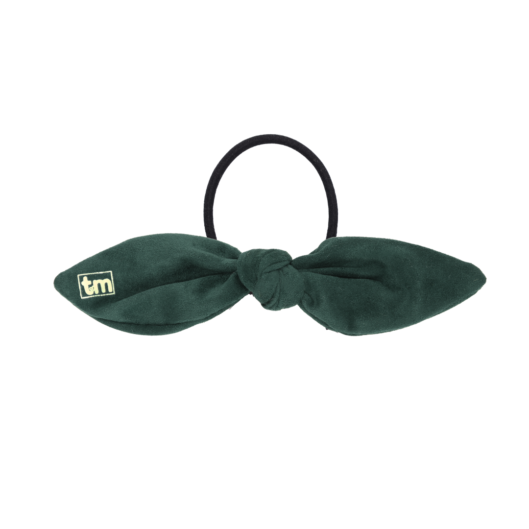 Sage Green Suede Tie Pony Holder