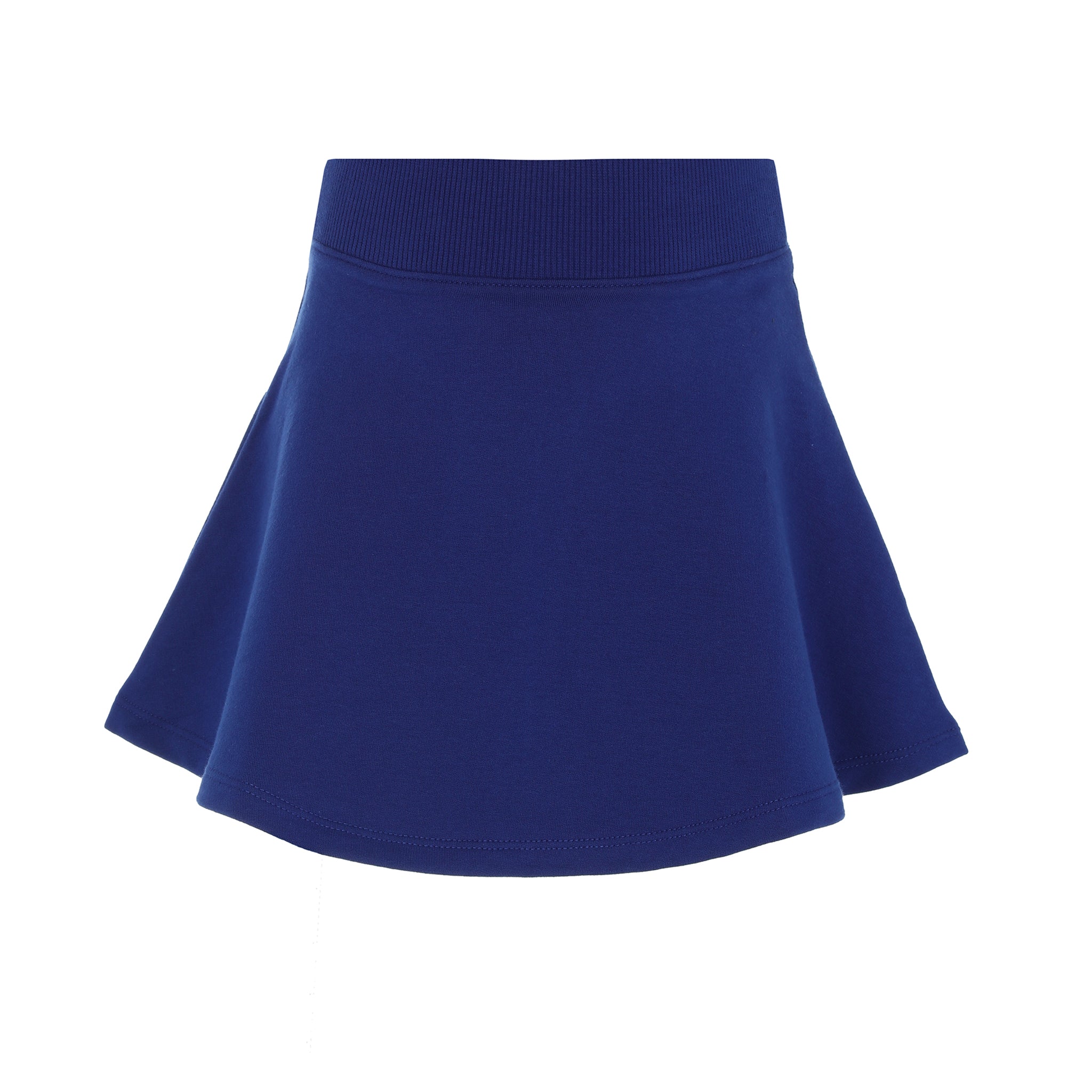 Cobalt Blue A-Line Skirt