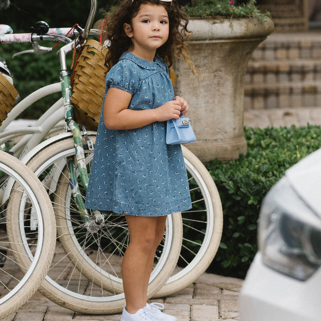 Blue Dainty Denim SS Dress