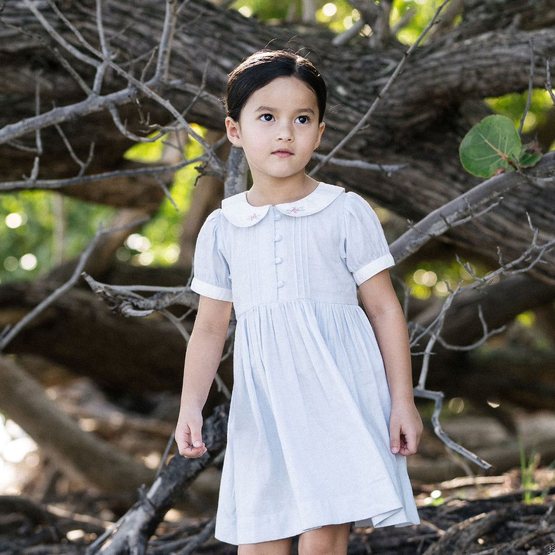Clear Blue S/S Pintuck Collar Dress