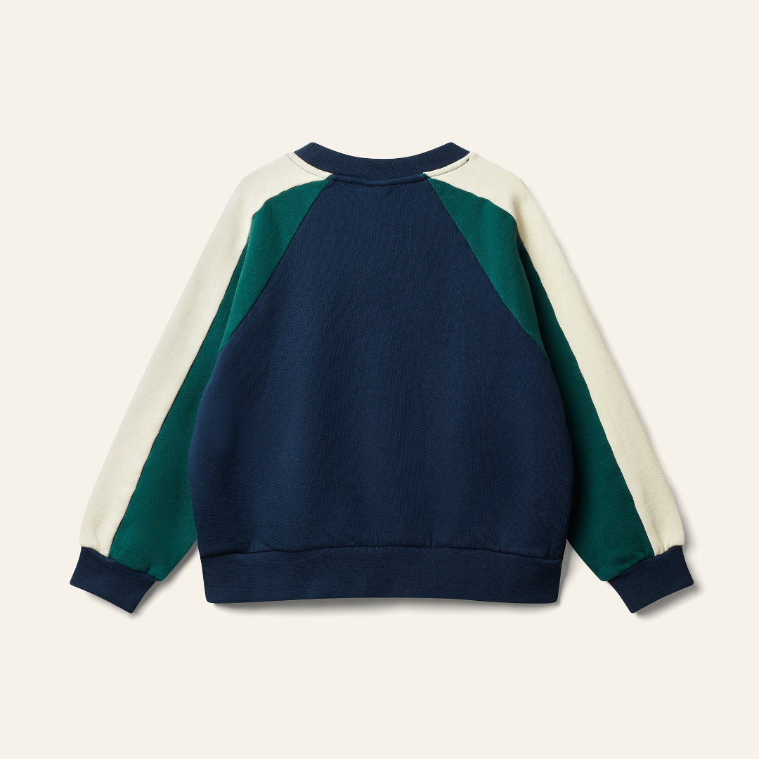 Navy/ Green/ Cream Wynk Panel Sweatshirt