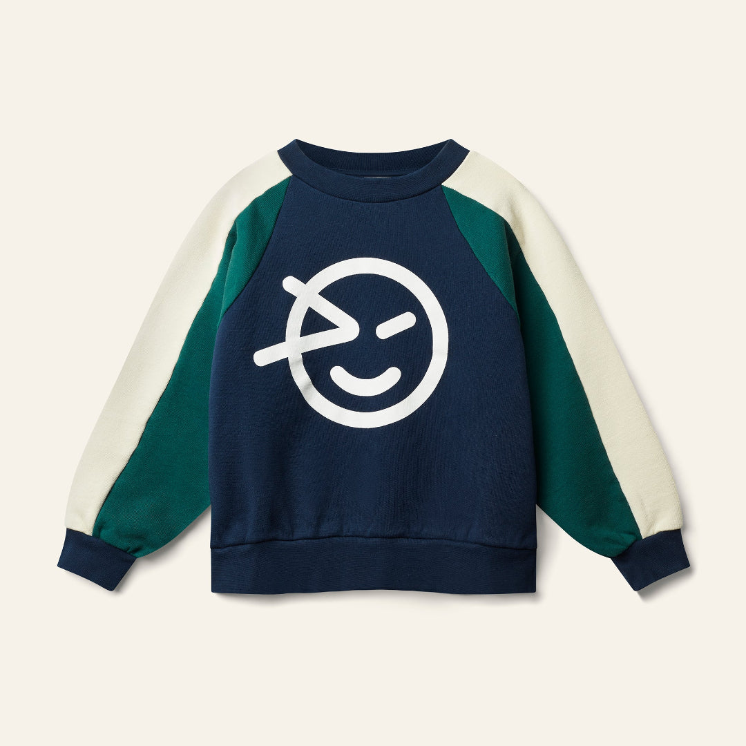 Navy/ Green/ Cream Wynk Panel Sweatshirt