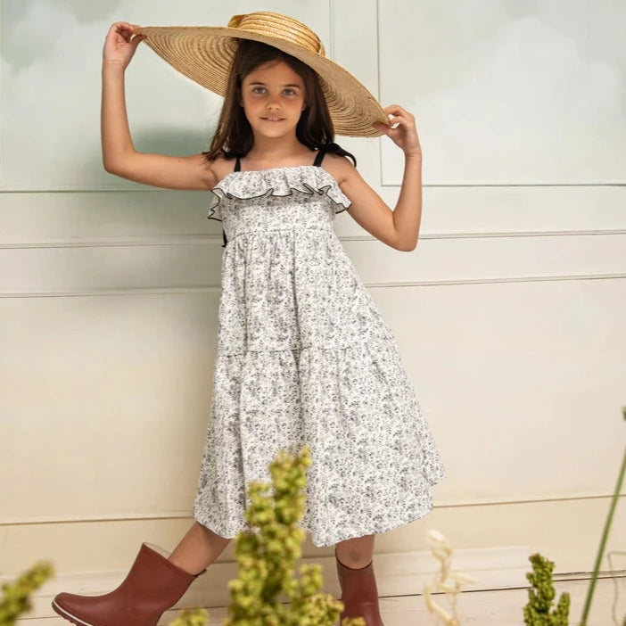 Toile Print Galaxia Dress