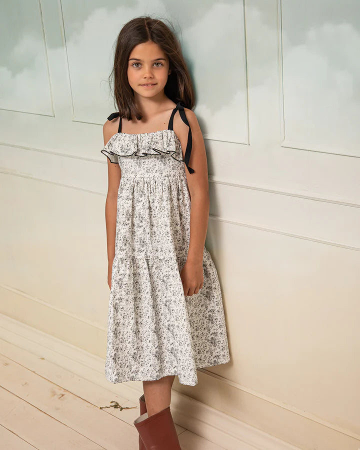 Toile Print Galaxia Dress