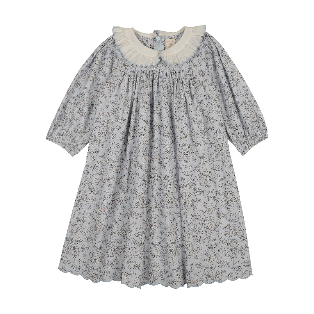 Clear Blue Mountain Meadows Dress 3/4 Sleeve