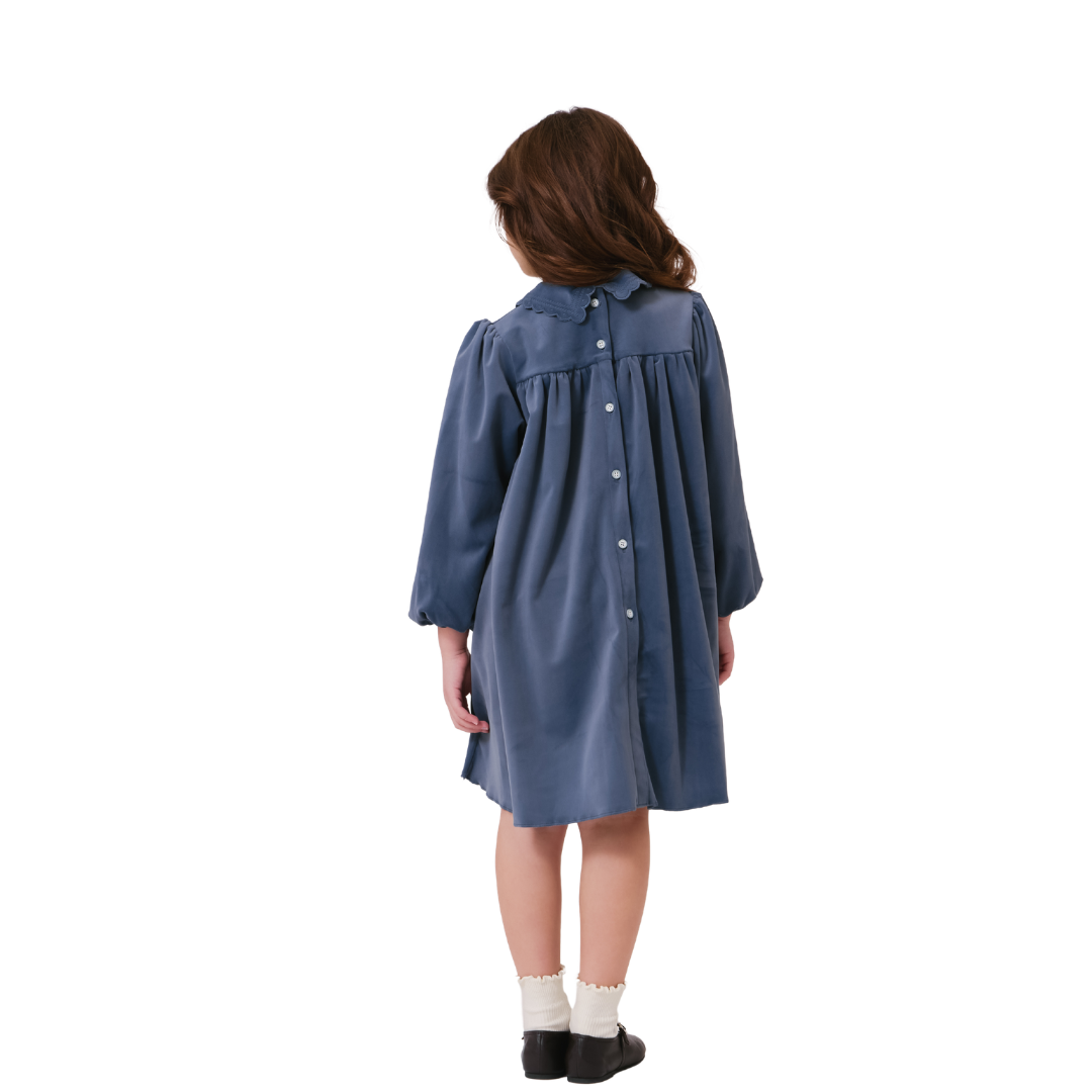 Blue Nola Velvet Dress