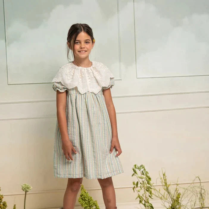 Rivière Blue Plume Dress