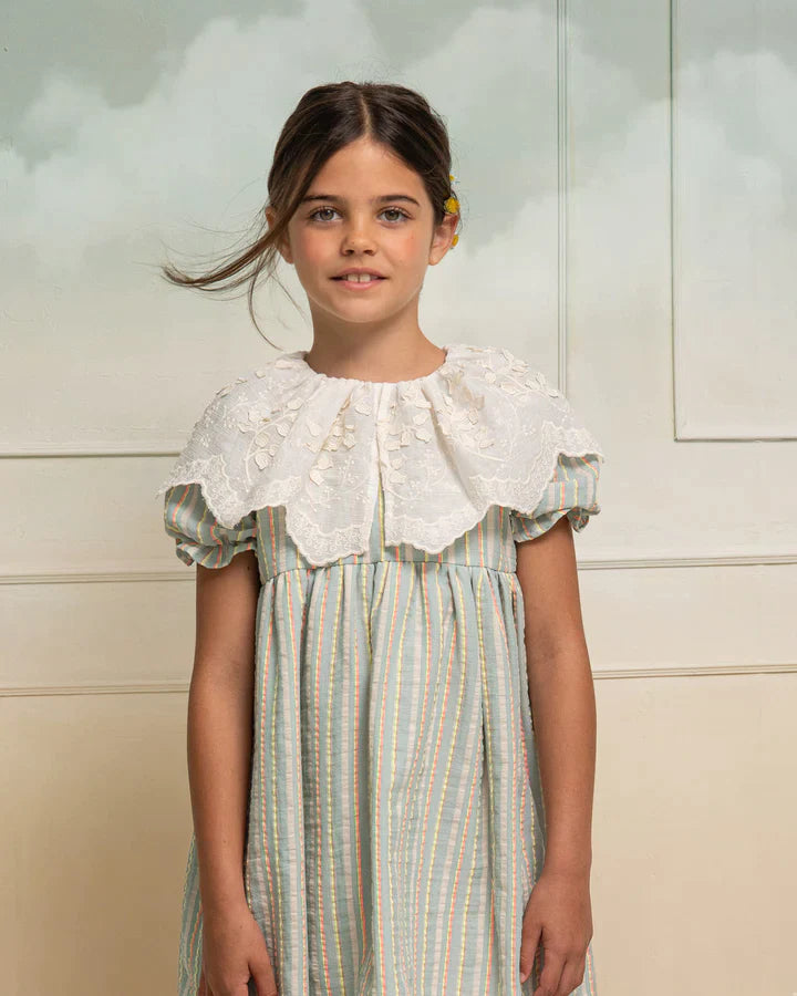 Rivière Blue Plume Dress