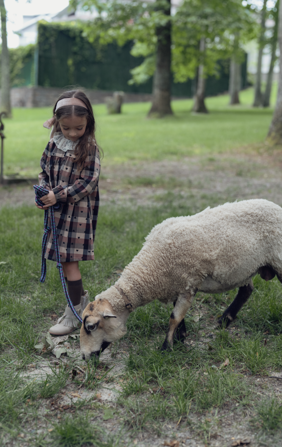 The Umbrella Academy Girl's Plaid Dress with Collar