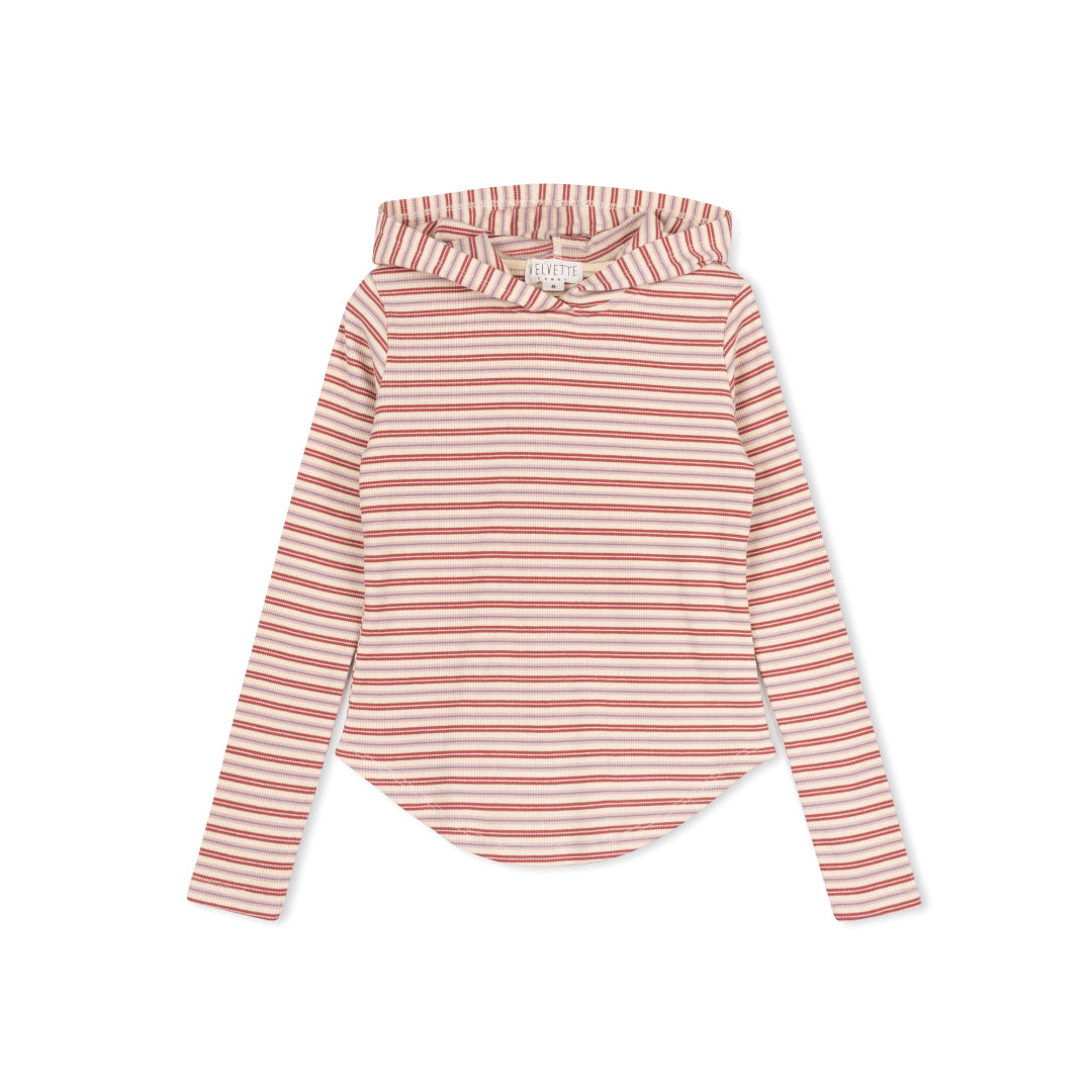 Multi Stripe Hooded T-Shirt