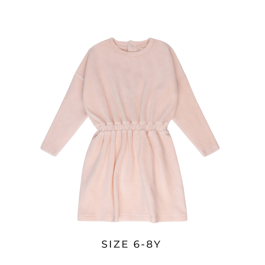 Pink Floral Velour Liberty Dress