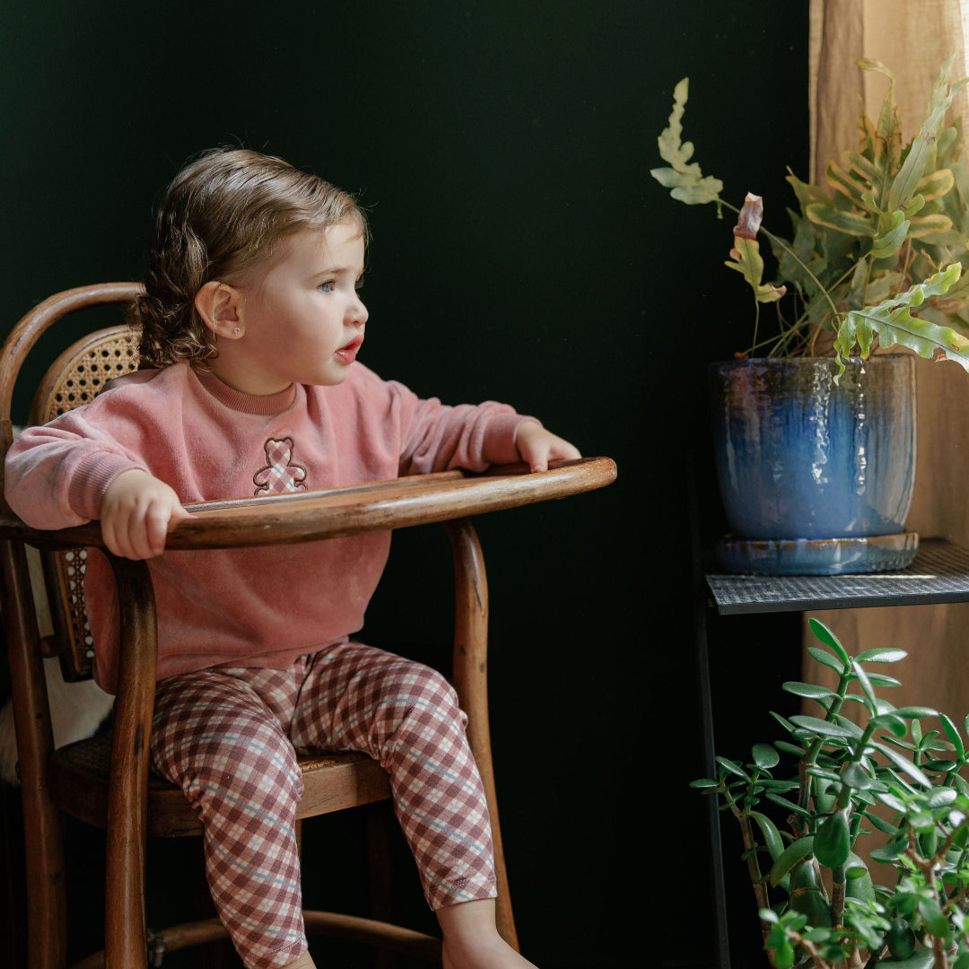 Pink Velour Plaid Bear Collection Sweatshirt And Leggings