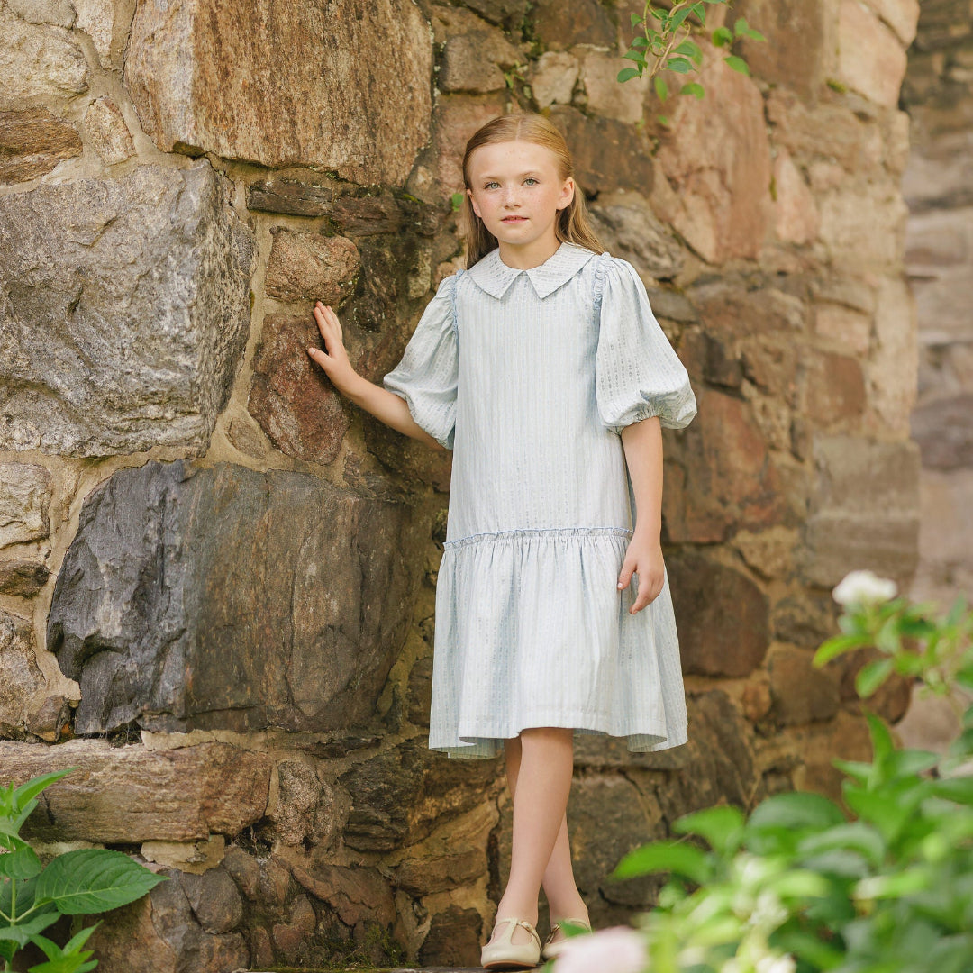 Blue Floral Stripe Dress