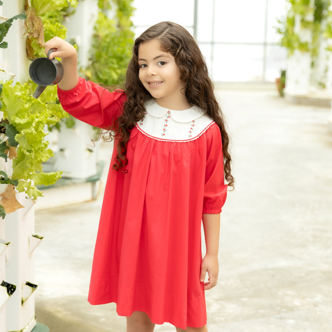 Hot Pink Embroidered Dress
