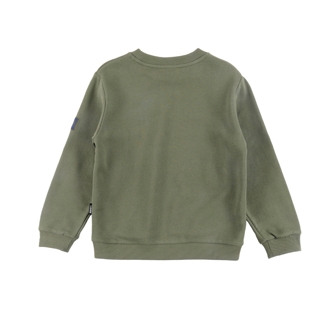 Green Family Regular Fit Sweatshirt