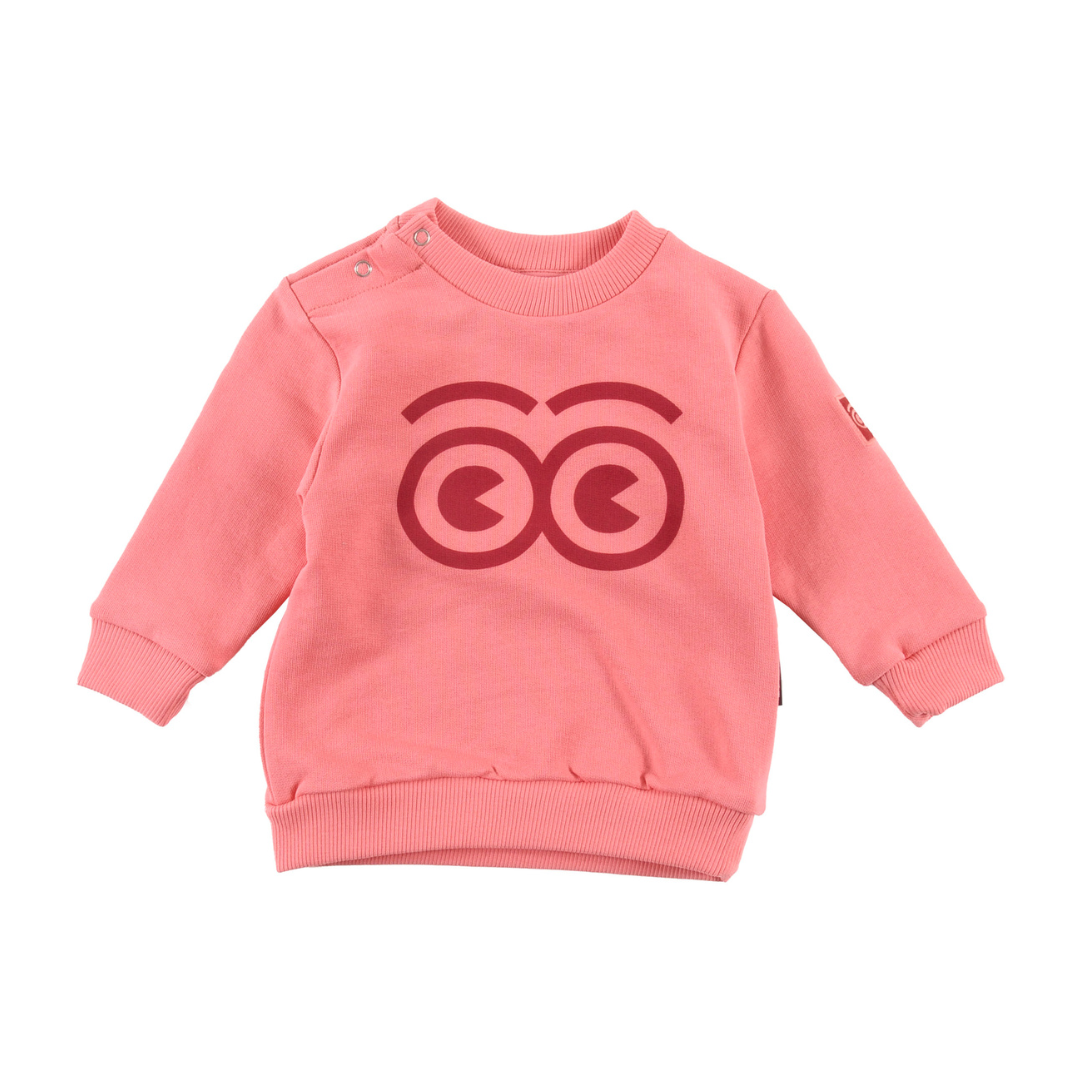 Raspberry Club Regular Fit Baby Sweatshirt