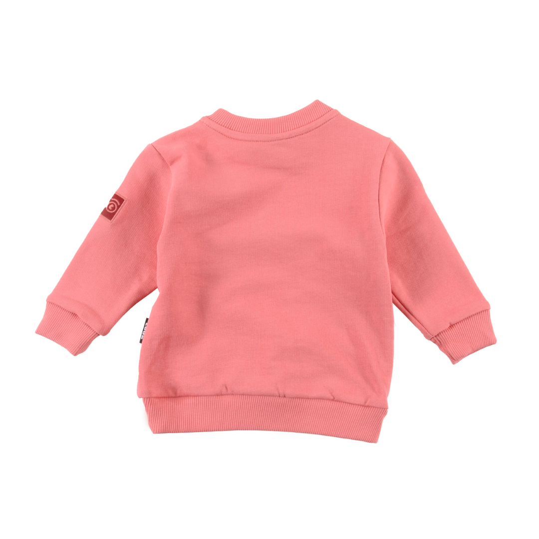Raspberry Club Regular Fit Baby Sweatshirt