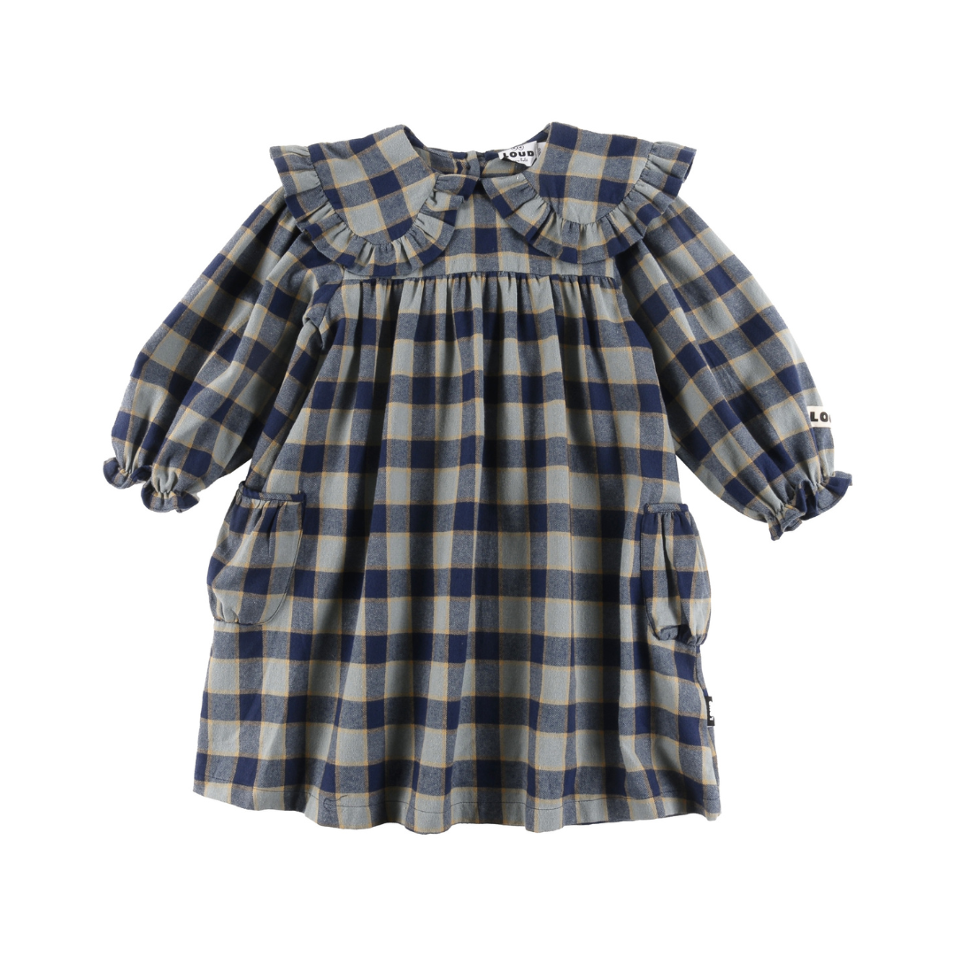 Indigo Check Collar Dress