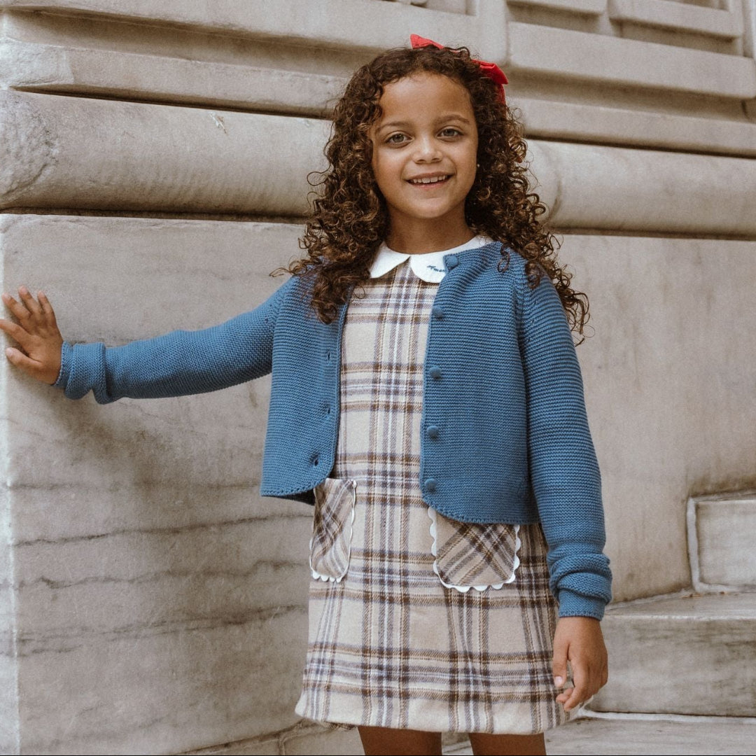 Blue Plaid A-Line Dress