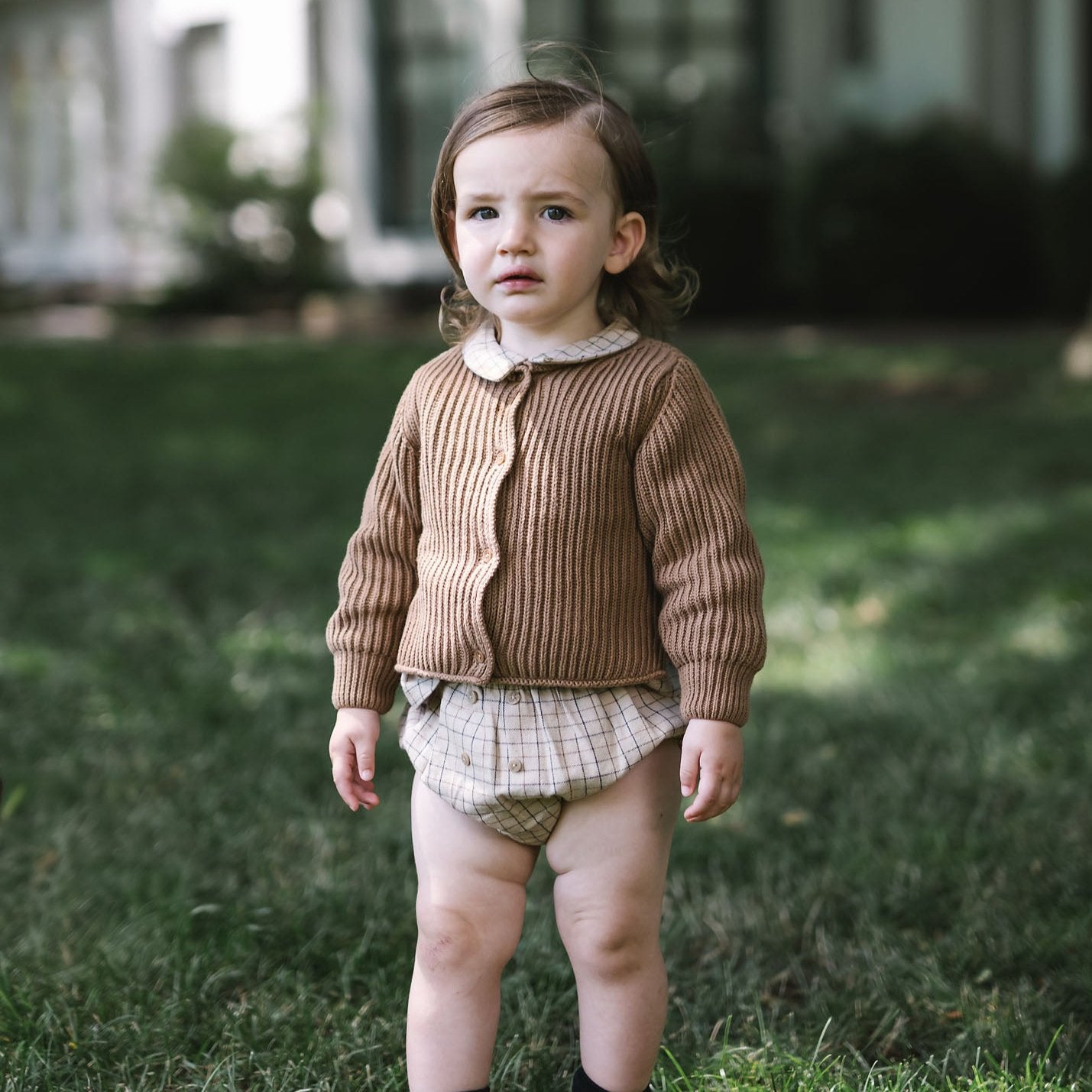 Windowpane Toddler Boys Set