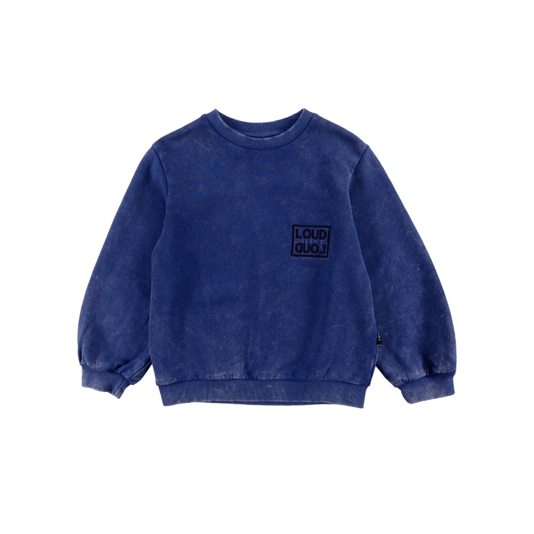 Blue Sound  Regular Fit Sweater