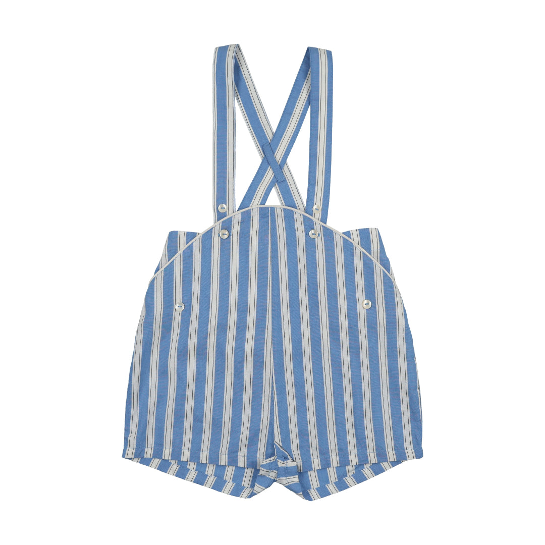 Fresh Blue Striped Downtown Overalls