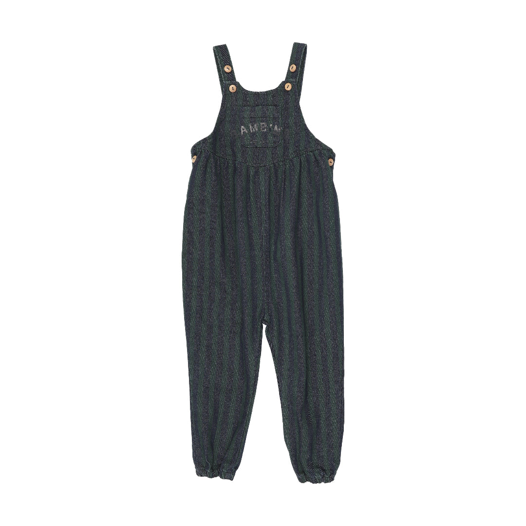 Denim/ Green Denim Day Toddler Overalls