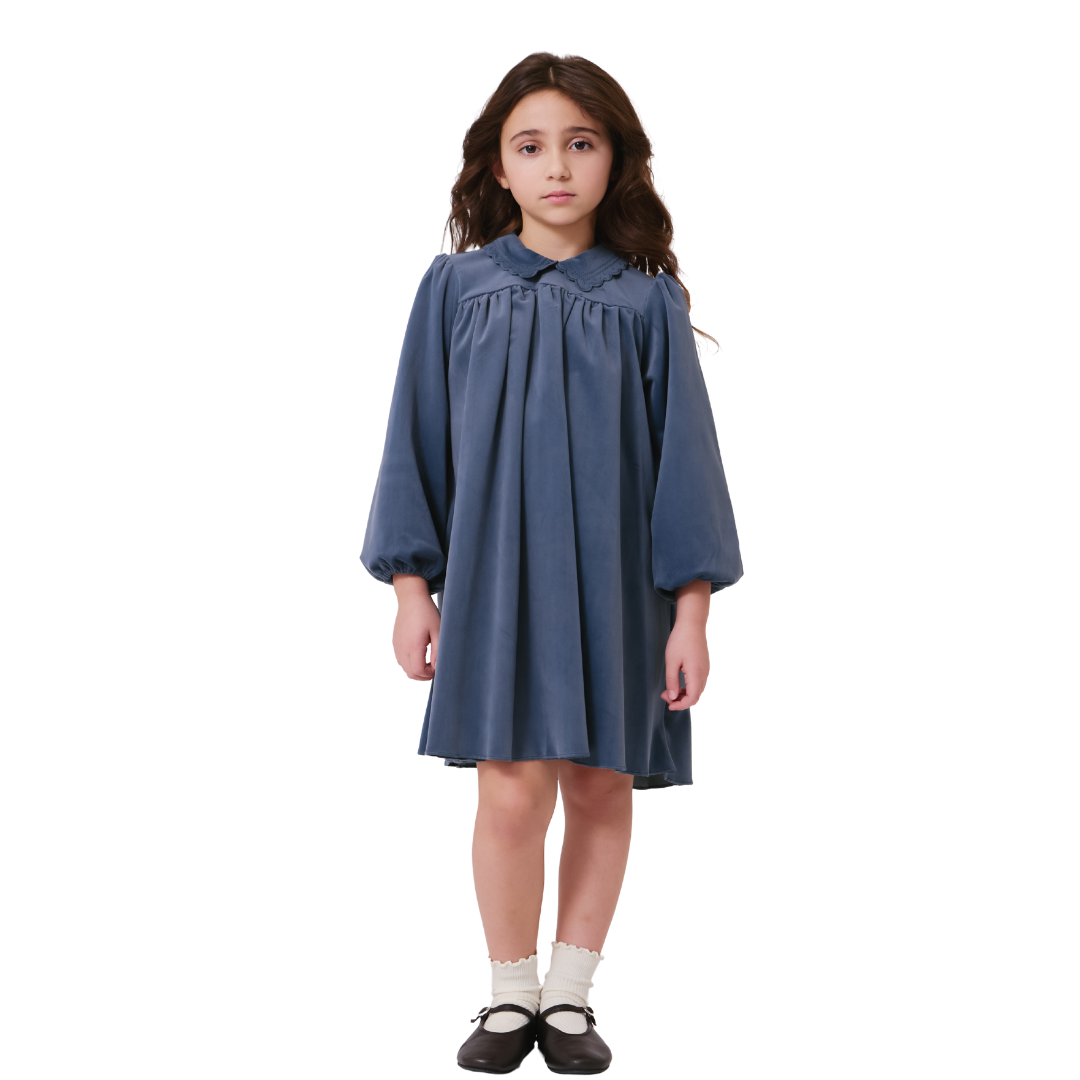 Blue Nola Velvet Dress