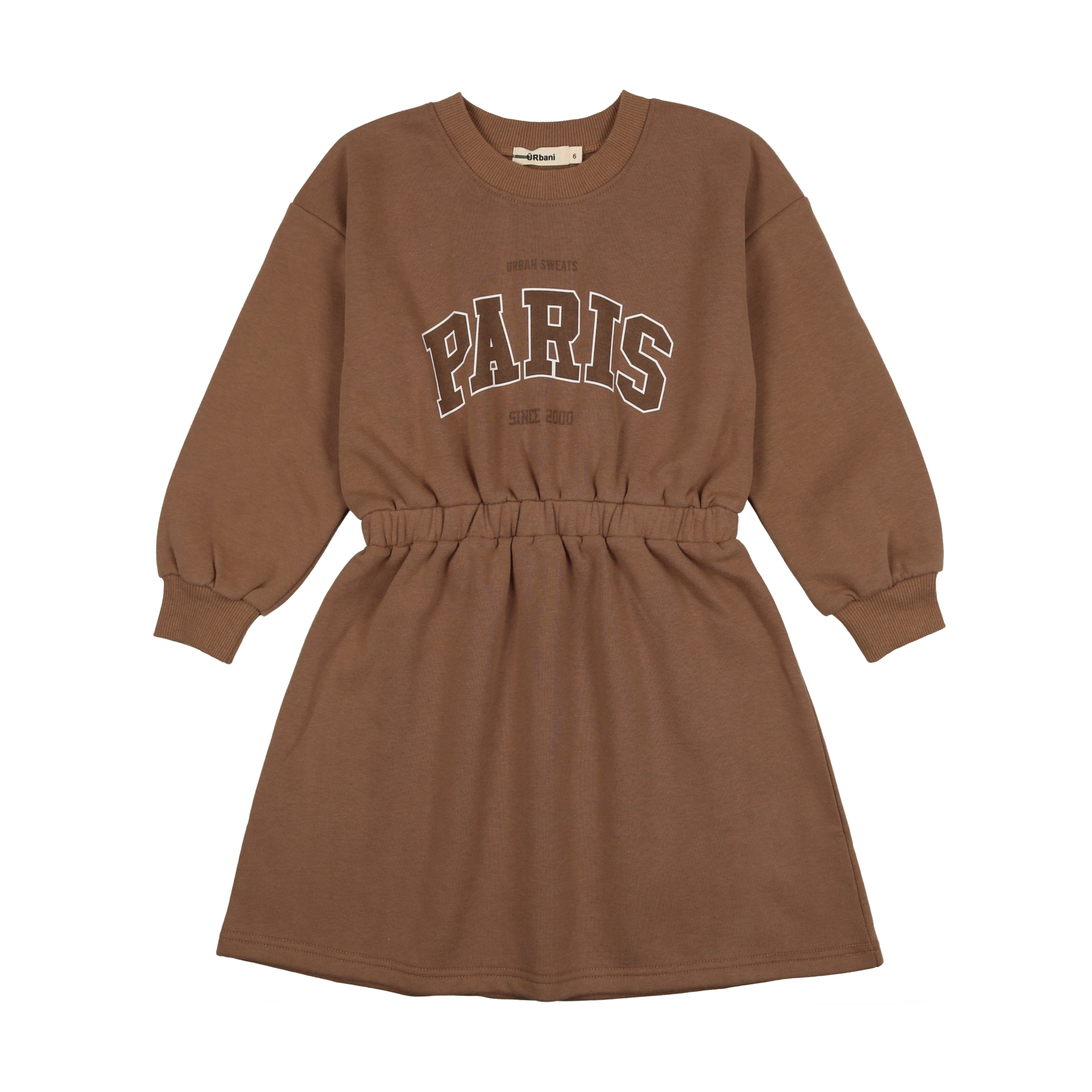 Brown Paris Waisted Dress